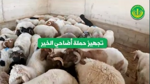 من قلب التحضيرات، ومن خلف الكواليس...